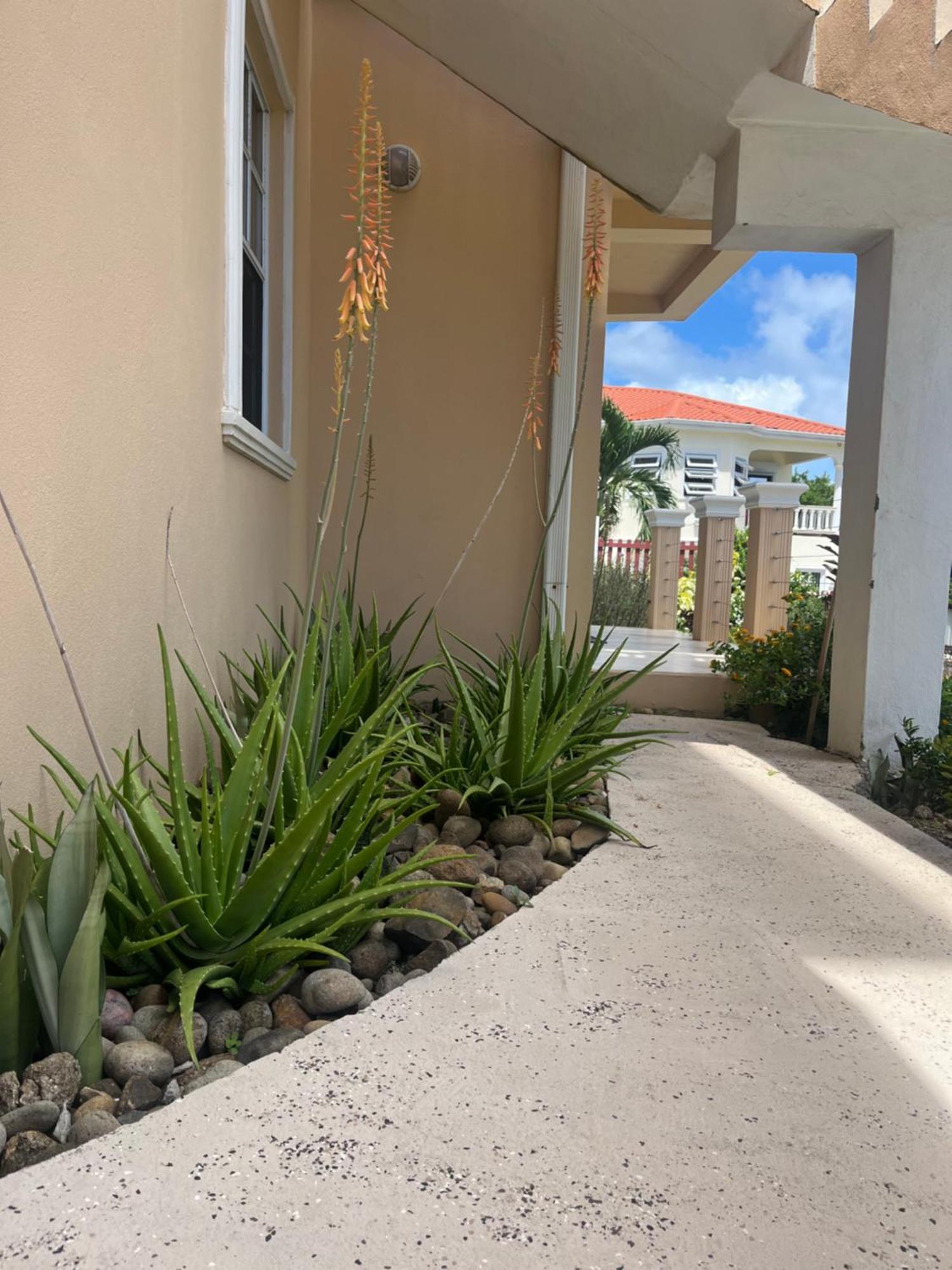 Belle Breeze Haven Leilighet Gros Islet Eksteriør bilde