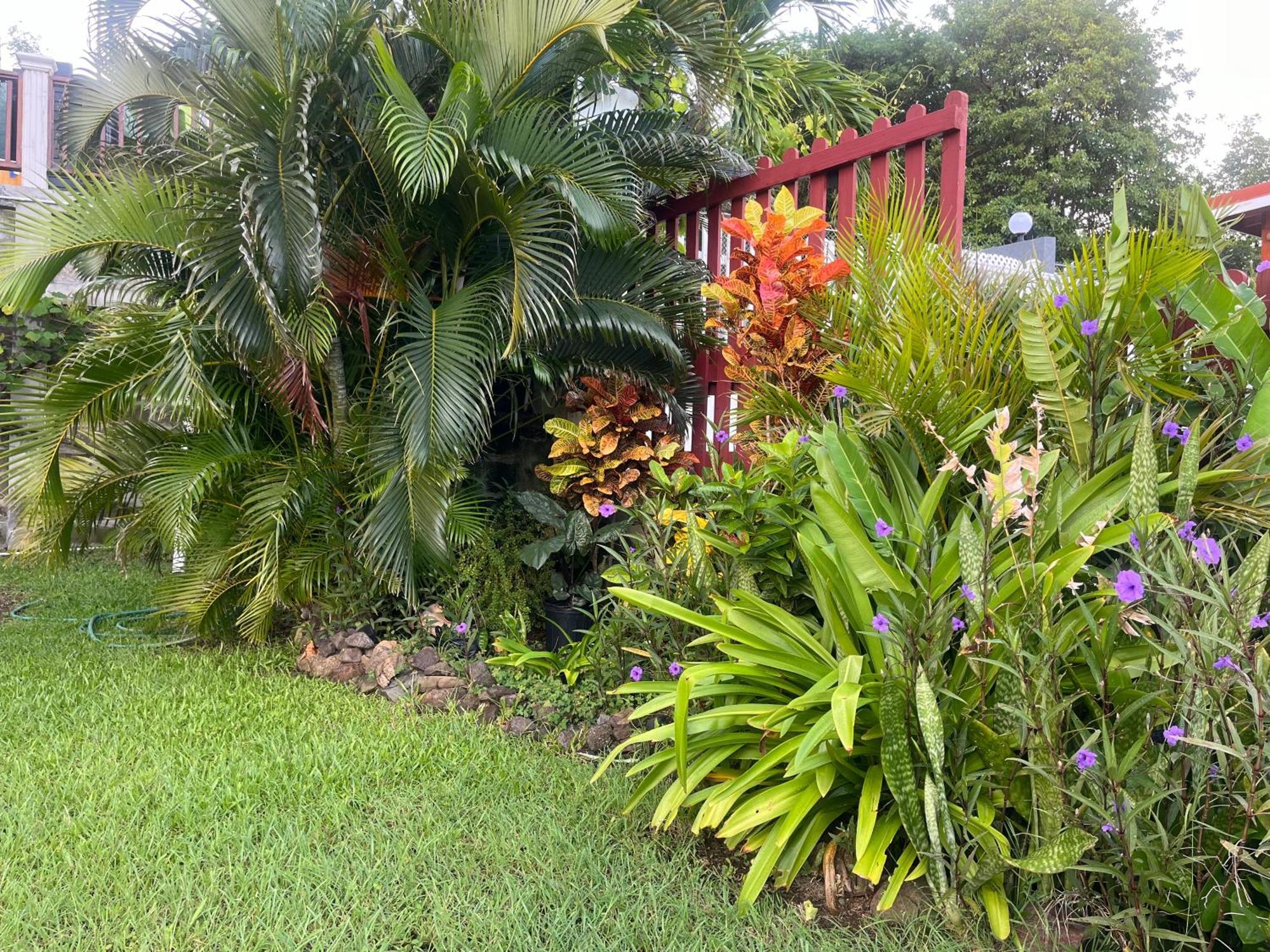 Belle Breeze Haven Leilighet Gros Islet Eksteriør bilde